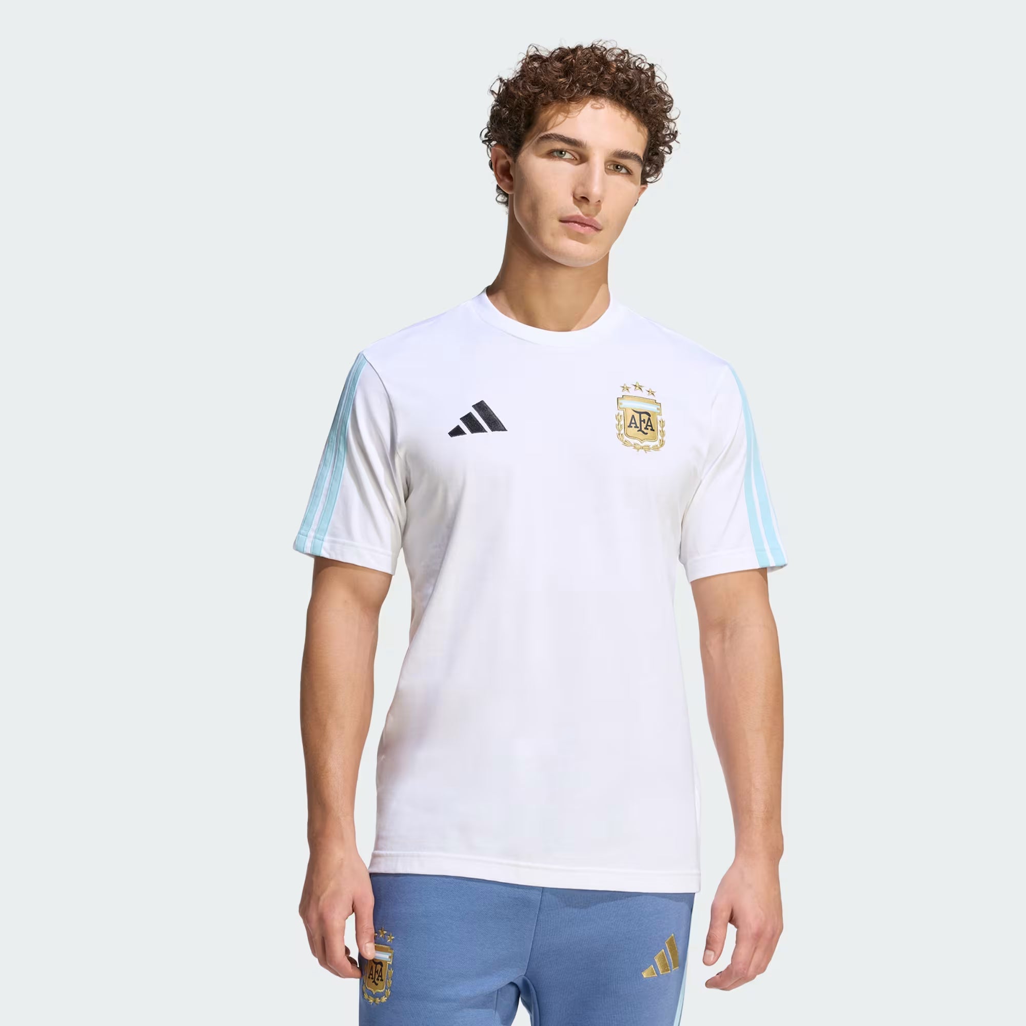 Jersey Argentinien Retro II