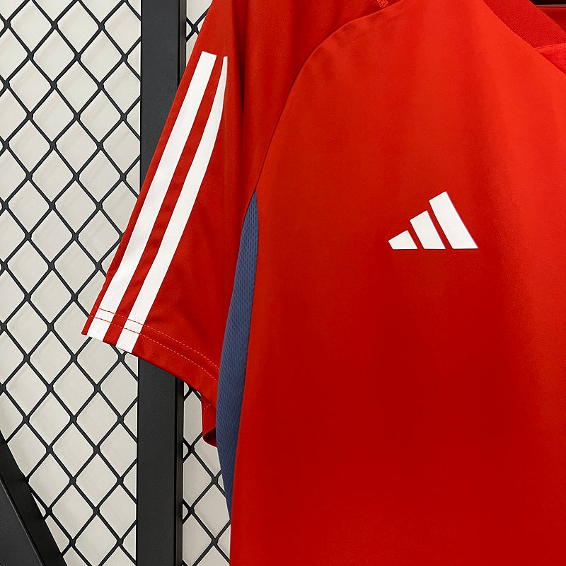 Trikot 24/25 Cruzeiro Trainingsbekleidung Rot Alle Sponsoren