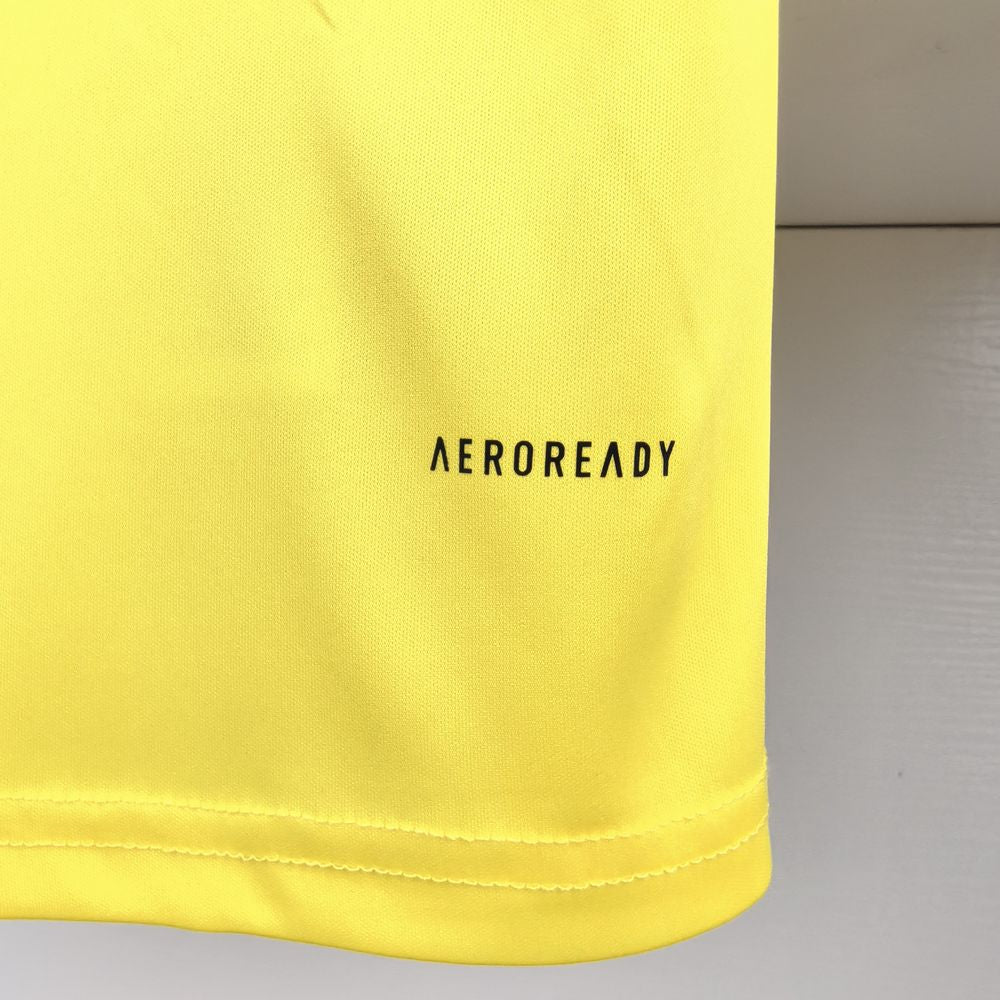 Trikot 24∕25 Flamengo Treino feminino – Amarelo