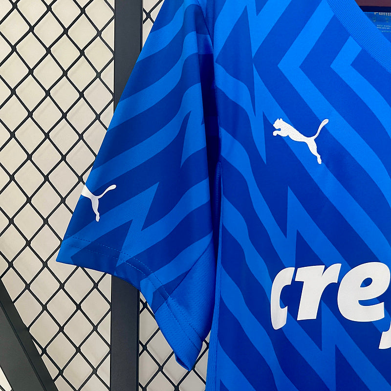 Trikot 24∕25 Torwart Palmeiras Blau