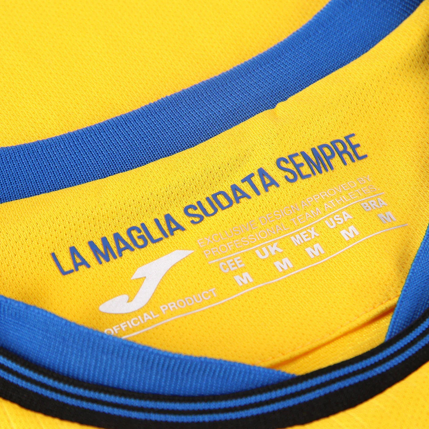 Jersey Atalanta 24/25 Third