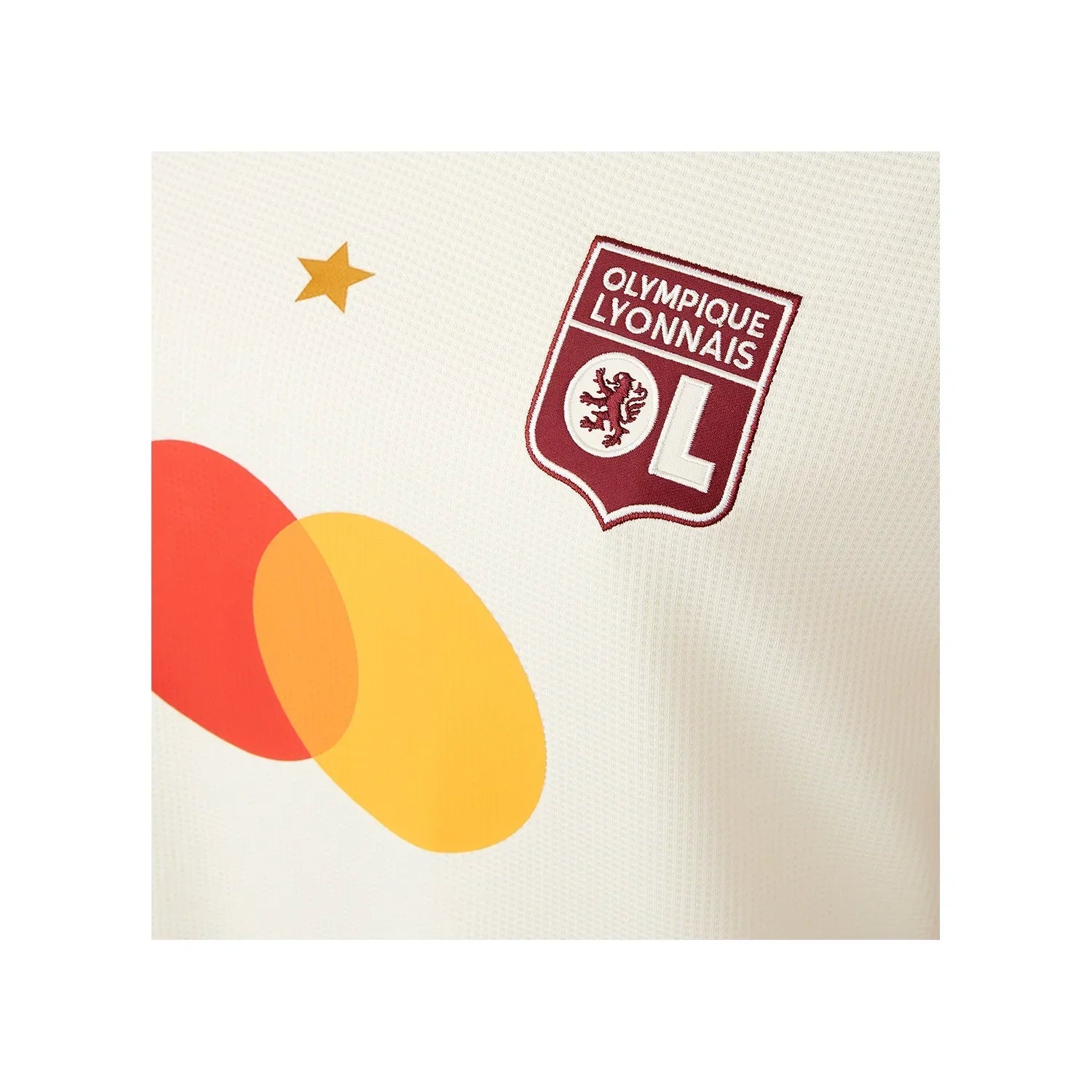Trikot Feminina Lyon 24/25 Dritter