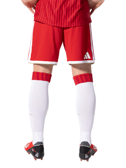 Flamengo Shorts 26/27 