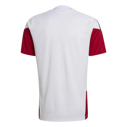 Trikot Alemanha 2026 Training WorldCup 