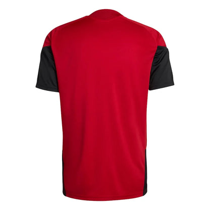 Trikot Alemanha 2026 Training WorldCup 
