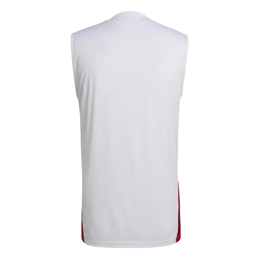 Trikot Alemanha 2026 Training WorldCup 